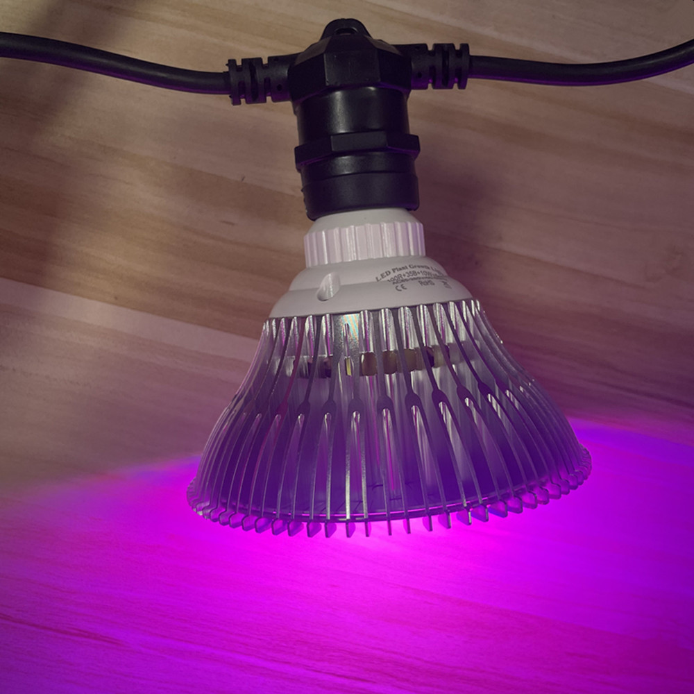 10M Kablo LED Dize Işık Zincir - Outdoor Lighting Diy incelemesi ve fiyatı