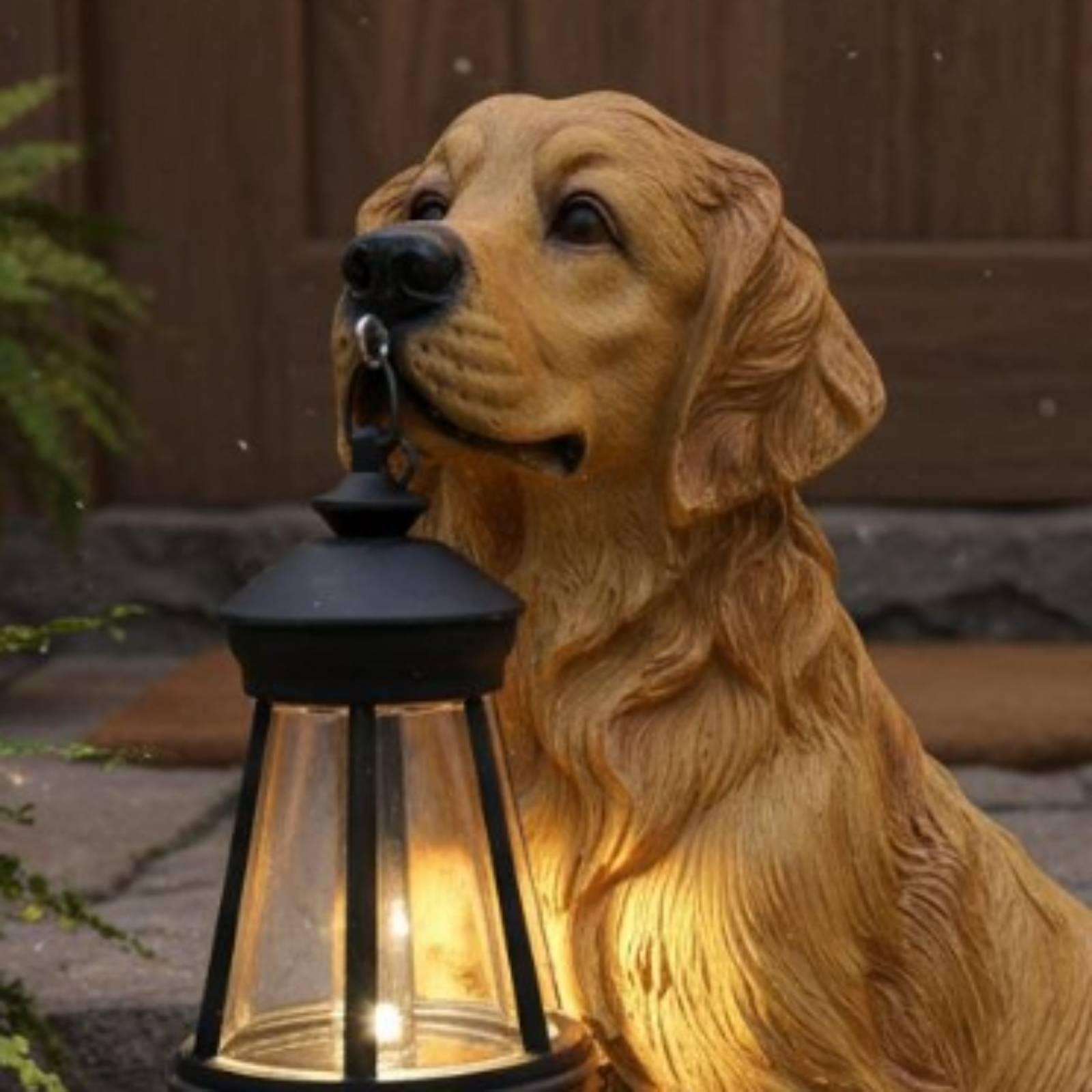 Dış Mekan Balkon Dekorasyonu i - Hanging Outdoor Lighting incelemesi ve fiyatı